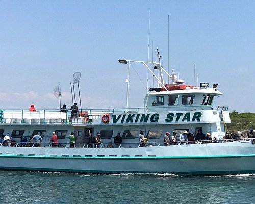 brooklyn whale watching tours