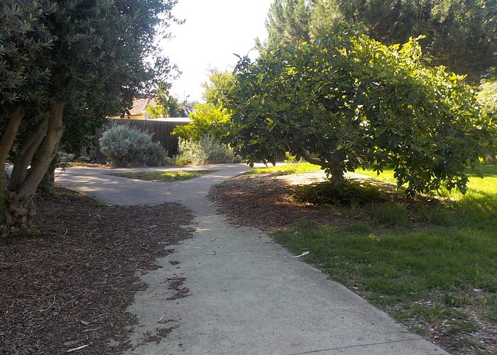 Pathway through food forest