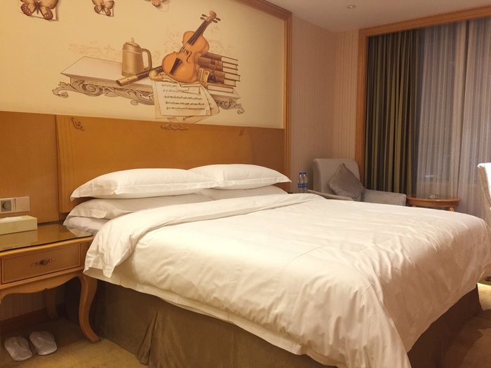 Vienna international hotel wuhan
