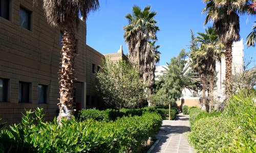 Villas garden