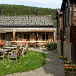 The garden and the saloon ont the background. On the right the stuga's