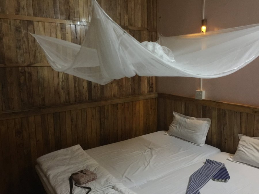 Flower Frog Homestay Prices Hostel Reviews Vietnam Sa Dec Tripadvisor Before the invention of floral foam, flower frogs were vintage flowers. tripadvisor