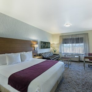 Studio King Suite