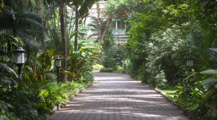 A green oasis in the middle of thriving metropolis