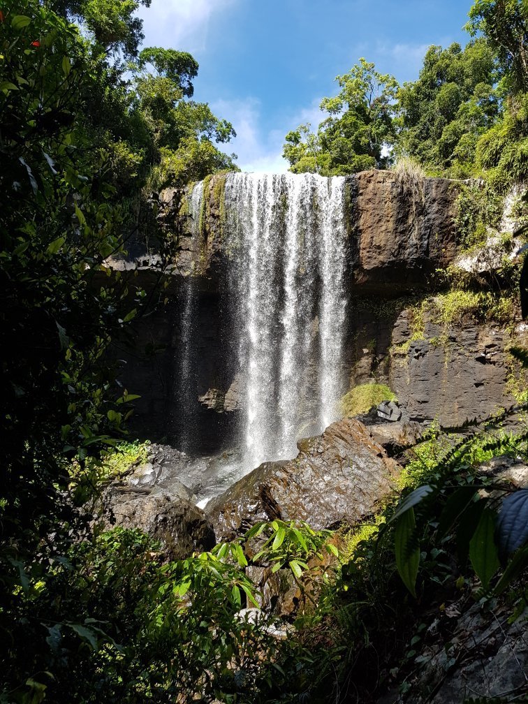 MILLAA MILLAA TOURIST PARK - Updated 2021 Campground Reviews (Australia ...