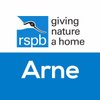 RSPBArne