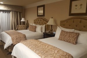 Room & Suite