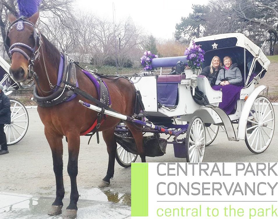 Central Park and NYC Horse Carriage Ride OFFICIAL ( ELITE Private) Since  1970™