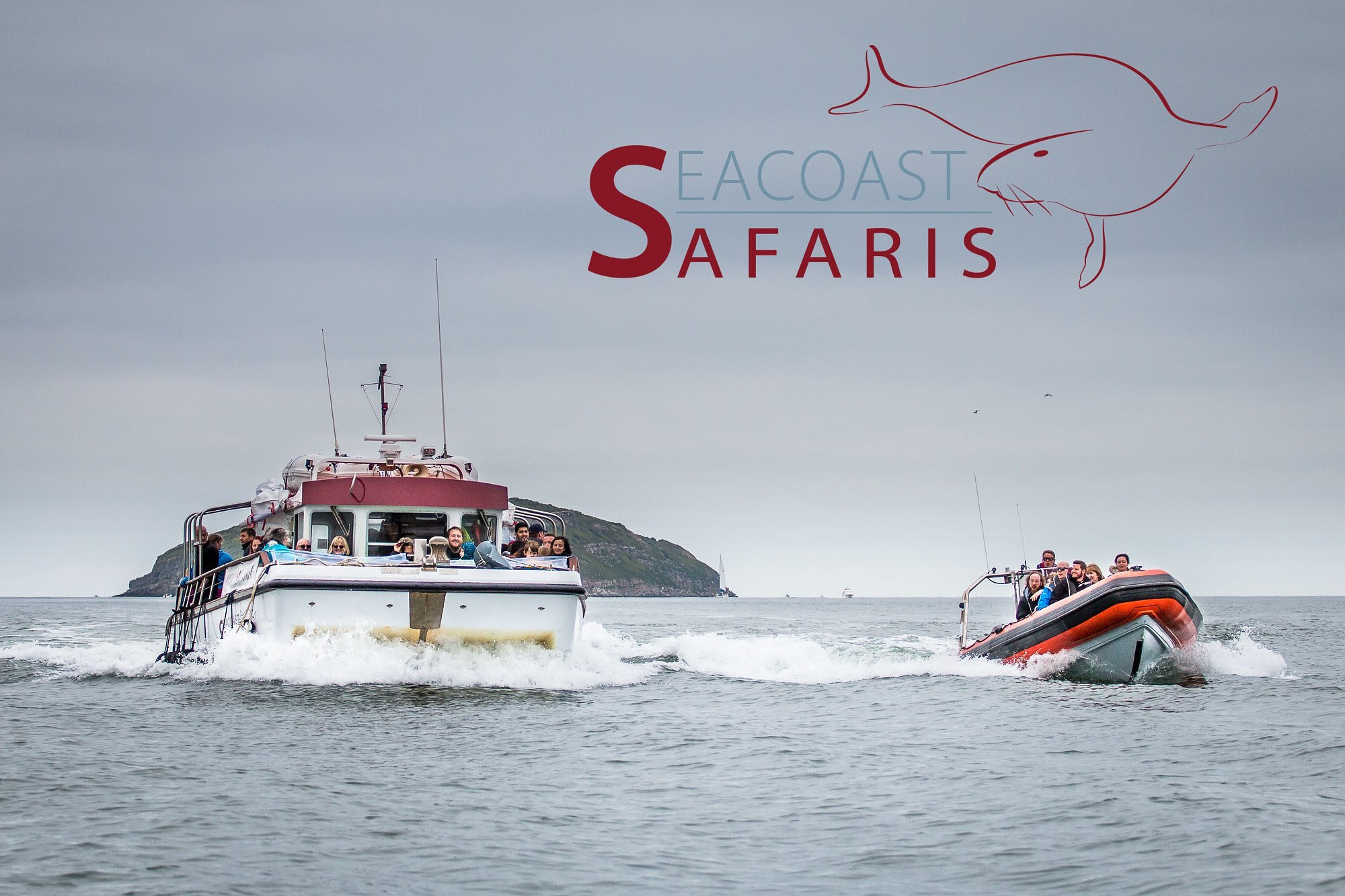 seacoast safaris photos