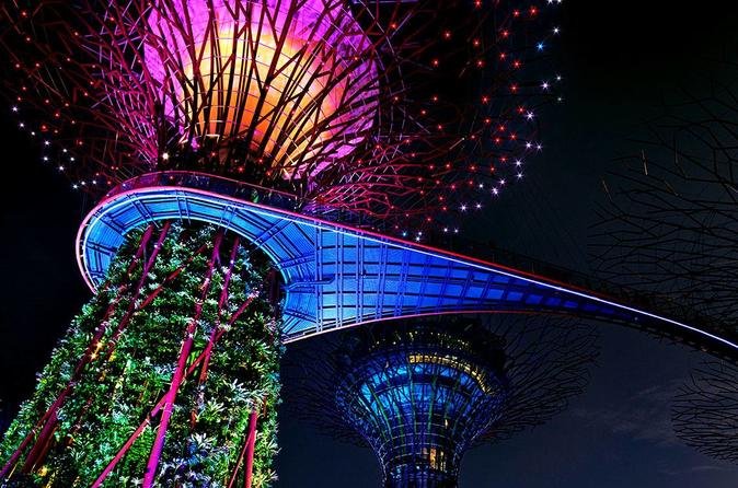 2024 Singapore Gardens By The Bay With 2 Flower Dome River Cruise Tour   Singapore Gardens By 