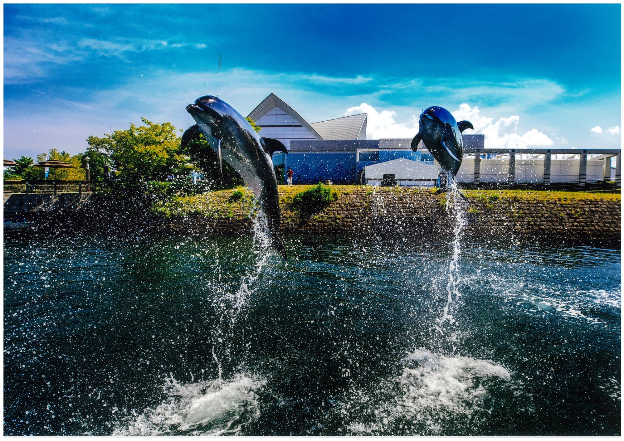 水族館 鹿児島 人気 ベビーカー