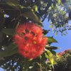 helenwane53