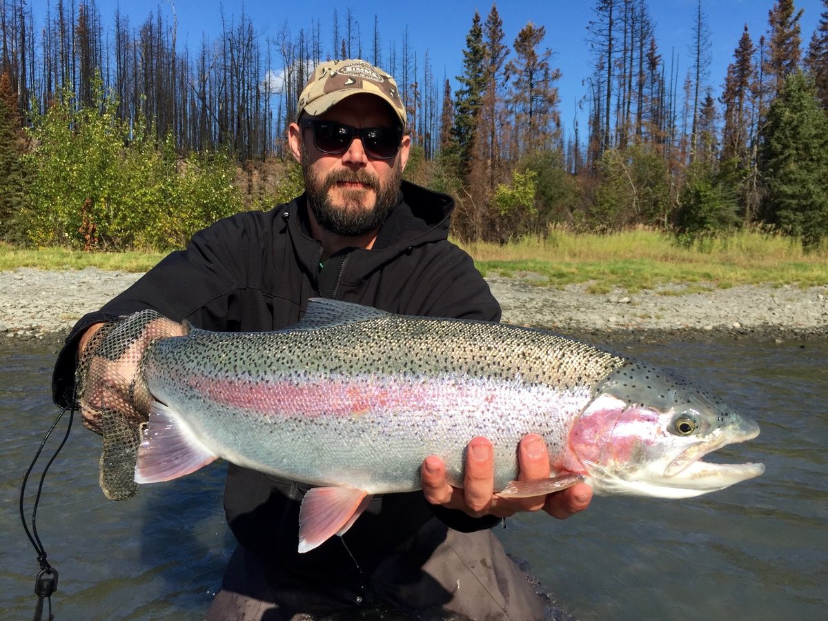 Alaska Troutfitters (Cooper Landing) - All You Need to Know BEFORE You Go