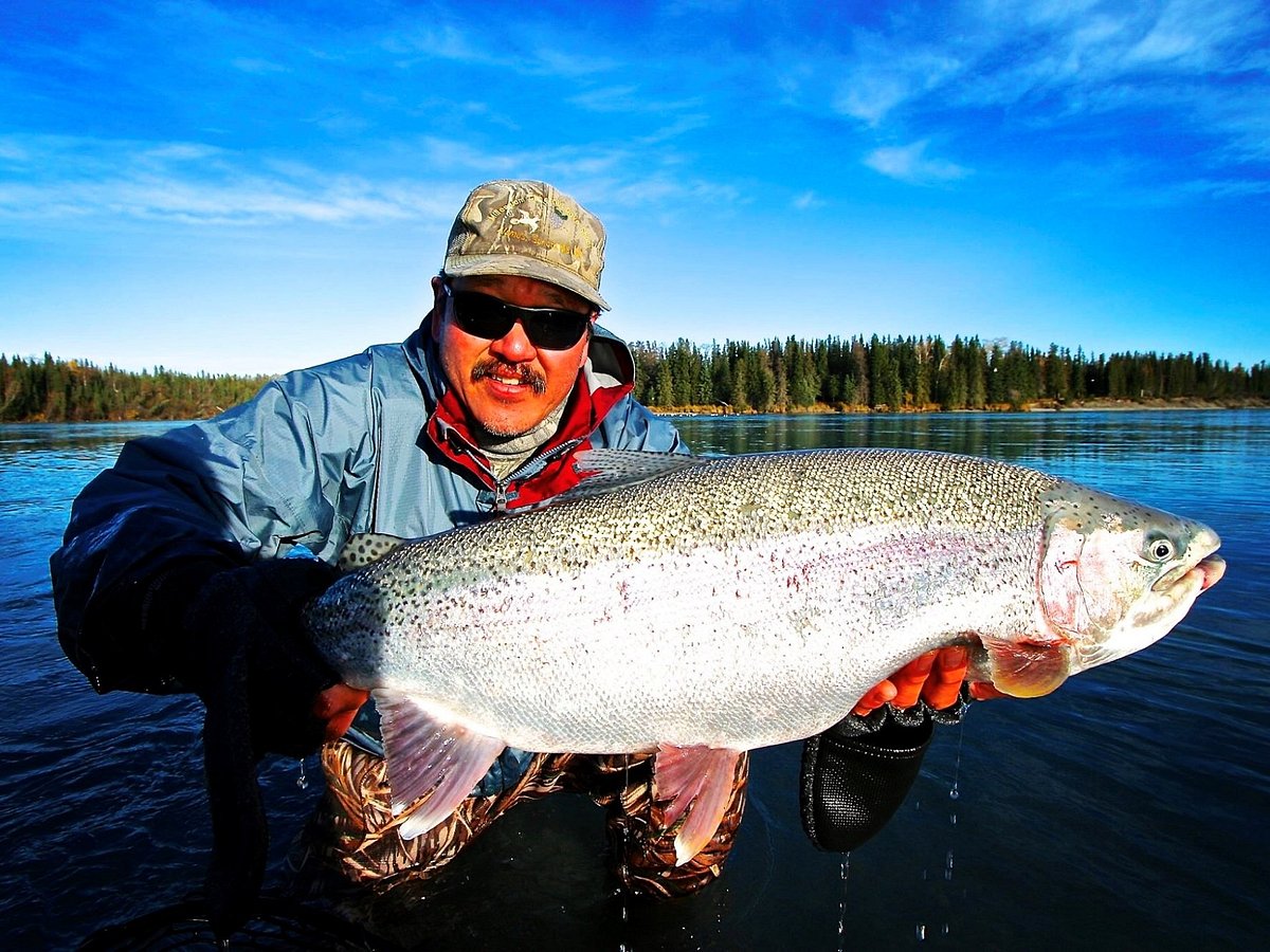 Lake Trout  Alaska Fishing - Alaska Outdoors Supersite