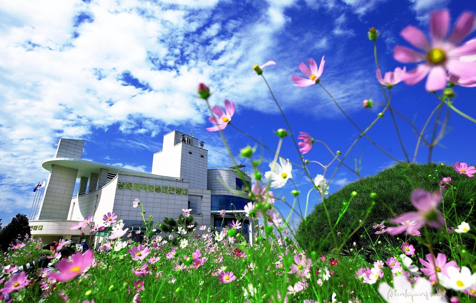 Ganghwa Peace Observatory (Incheon, Sydkorea) - anmeldelser Foto Foto