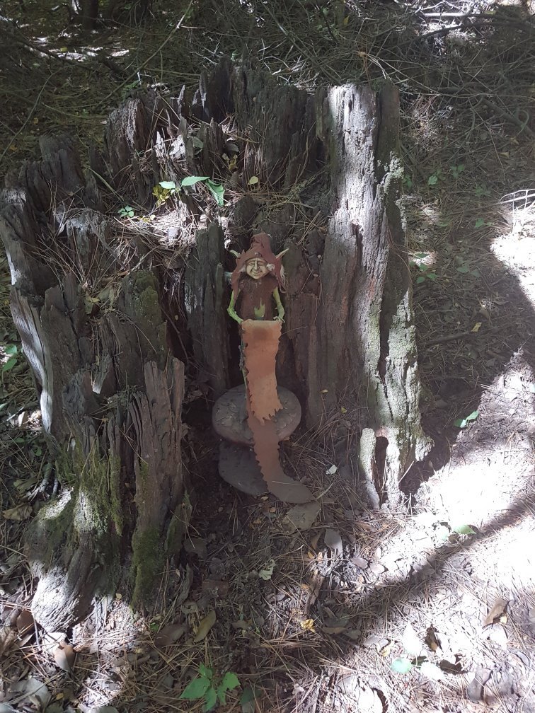 Bariloche: aseguran haber visto y filmado a un duende en la zona