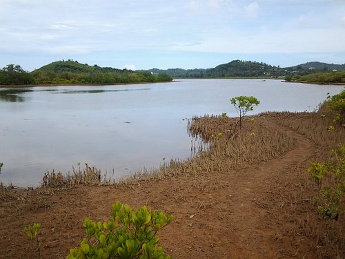 THE 15 BEST Things to Do in Mayotte - 2024 (with Photos) - Tripadvisor