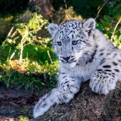 The 15 Best Things To Do In La Teste De Buch 21 With Photos Tripadvisor The 15 Best Things To Do In La Teste De Buch 21 With Photos Tripadvisor