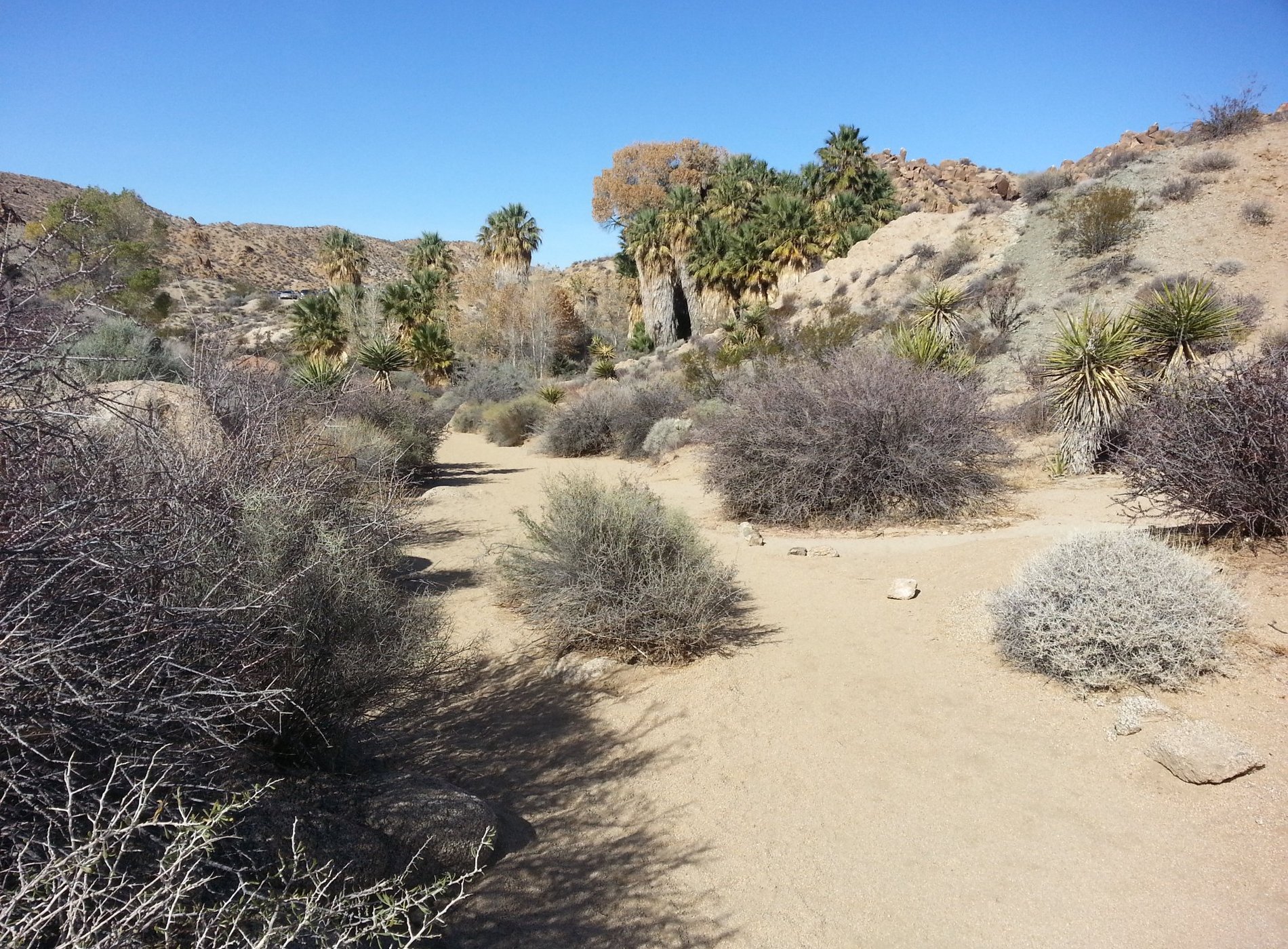 Cottonwood Campground by null