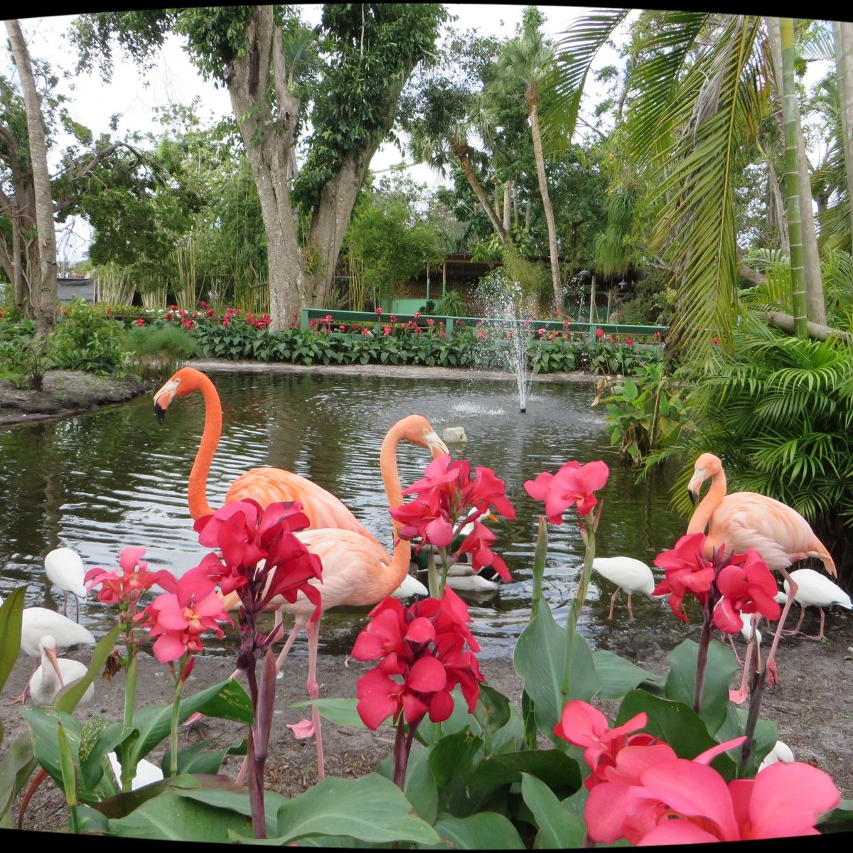 Everglades Gardens Bonita Springs: A Tropical Oasis Awaits