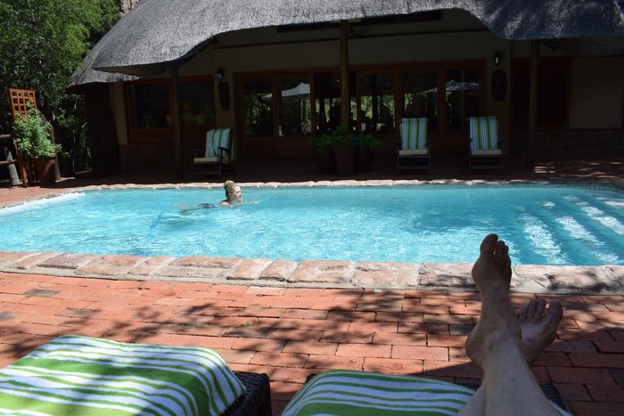 Serondella Safari Lodge Pool: Pictures & Reviews - Tripadvisor