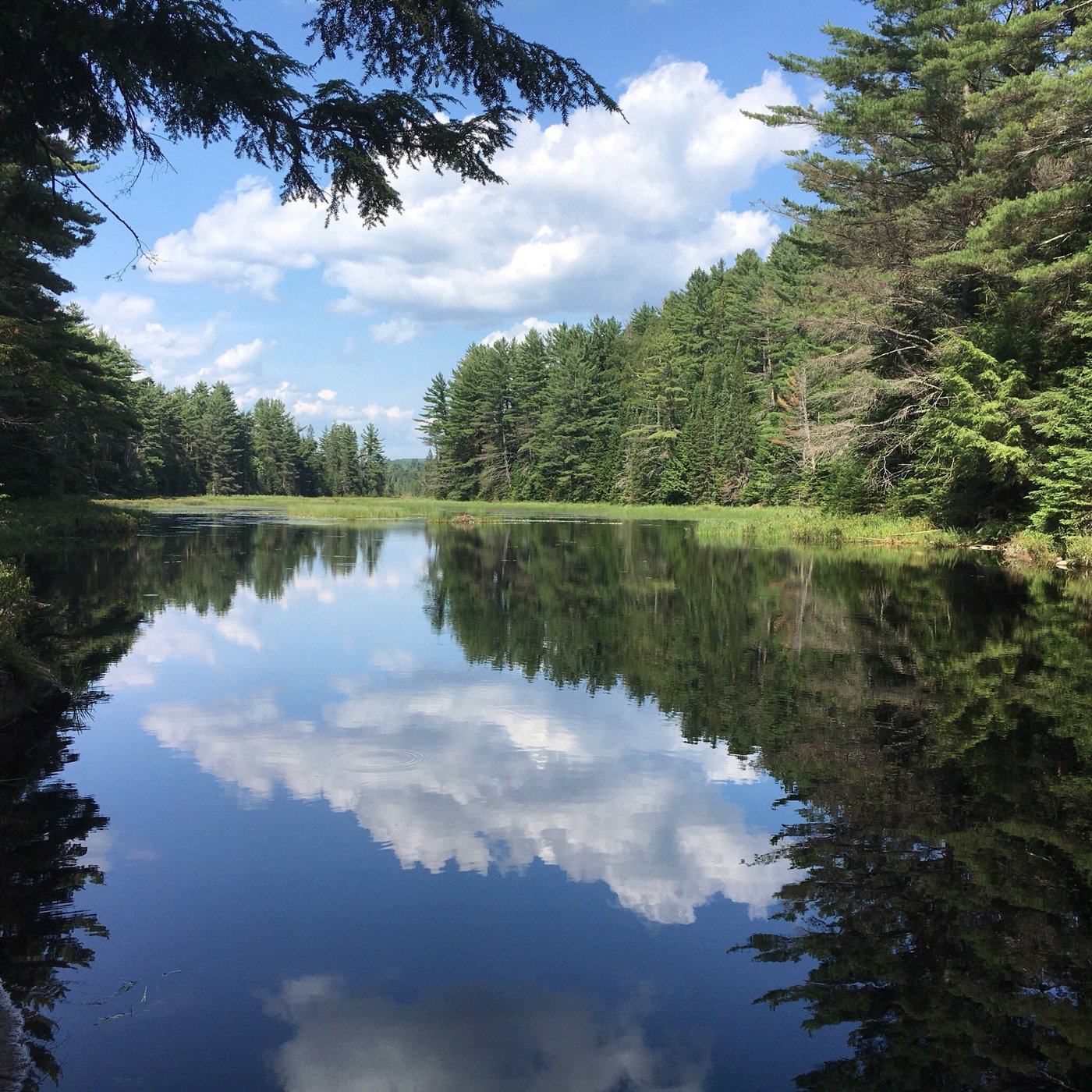 Lochaven Inn Resort Reviews & Photos