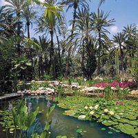 Foto estanques Jardín
