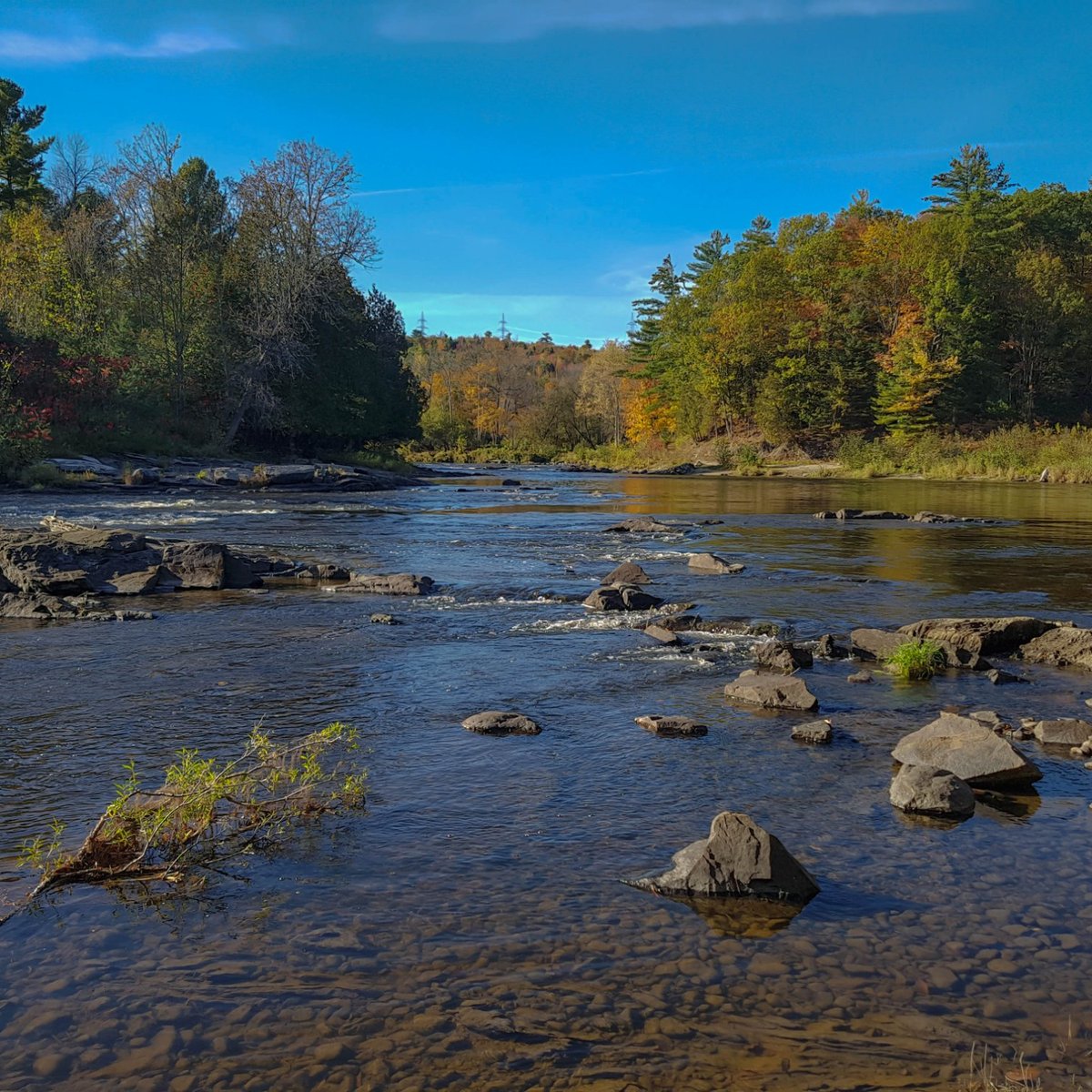 Parc National de Plaisance All You Need to Know BEFORE You Go