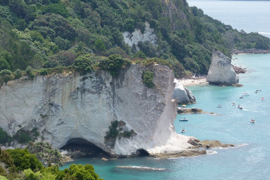 On The Beach B B Prices B B Reviews Whitianga New Zealand Tripadvisor