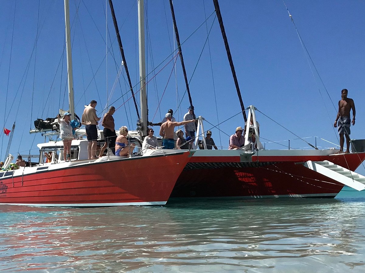 el tigre catamaran sailing cruises reviews