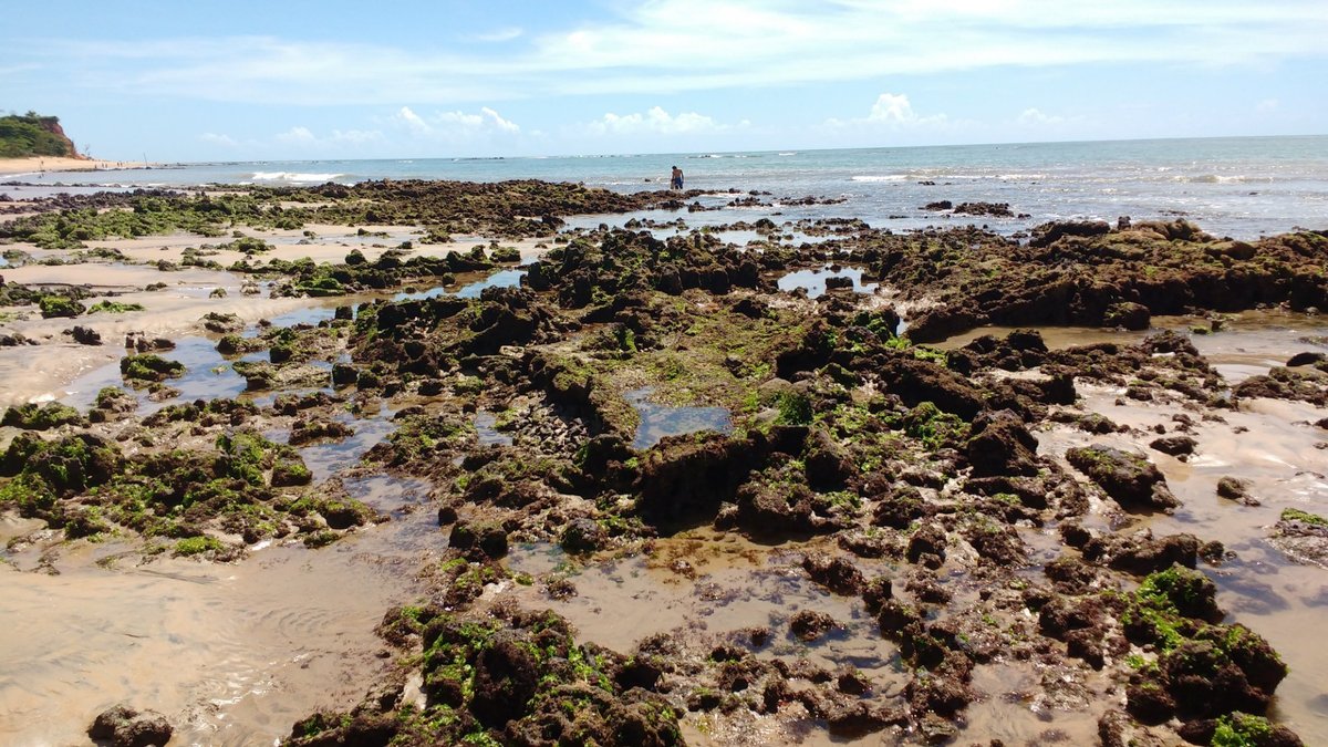 Praia do Rosa, #delacruz #oriente #rap #praiadorosa #poesiaacustica