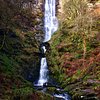 Things To Do in Gilfach Nature Reserve, Restaurants in Gilfach Nature Reserve