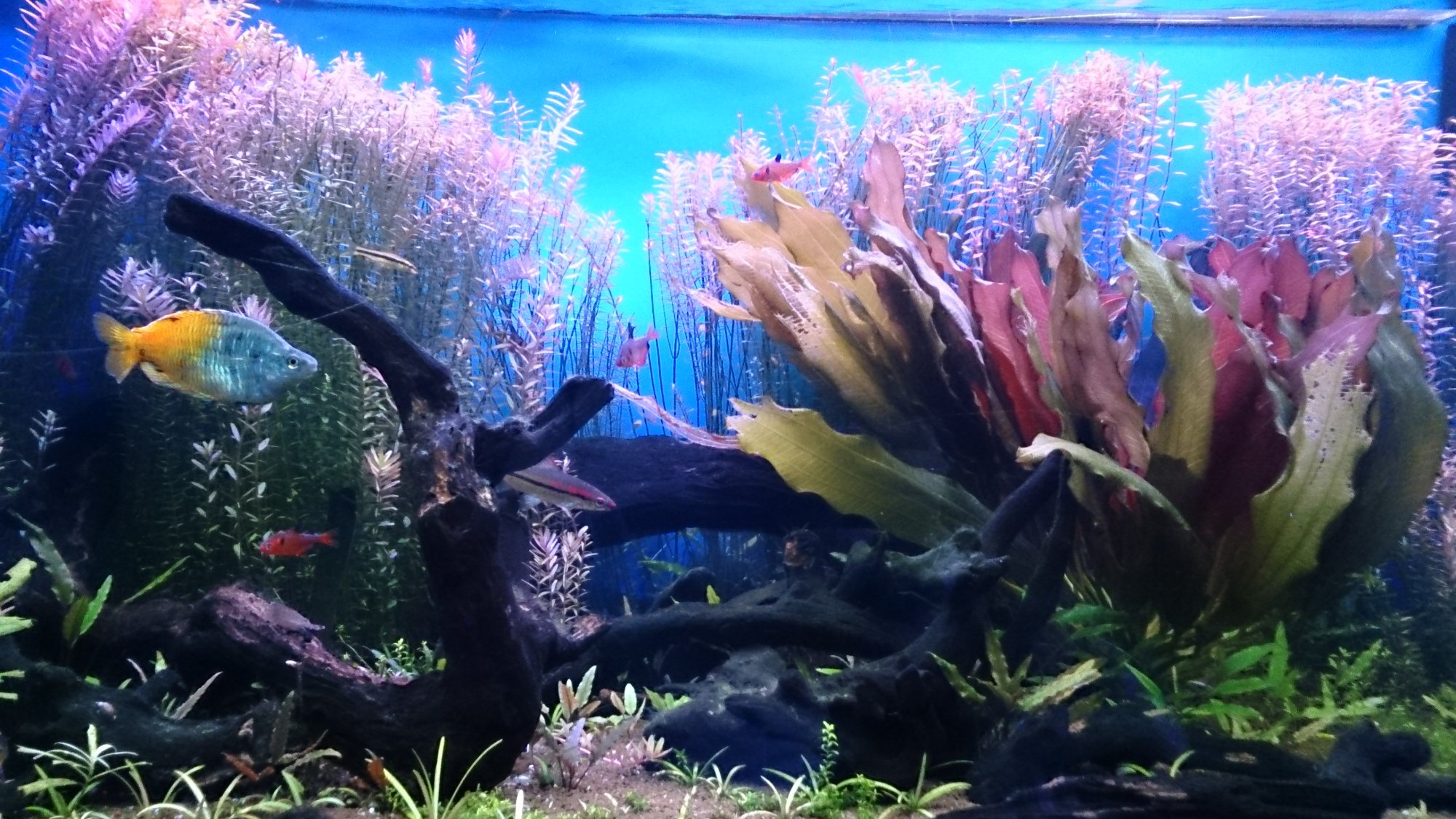 THE 5 BEST Moscow Aquariums Updated 2024 Tripadvisor