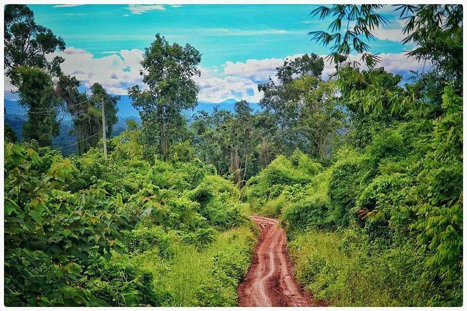 Cardamom Mountains Rainforests