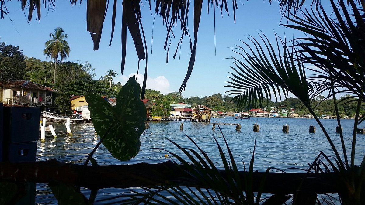 Hospedaje Sea View Bocas Del Toro Panamá Isla Bastimentos Opiniones Y Fotos Del Pequeño 3401