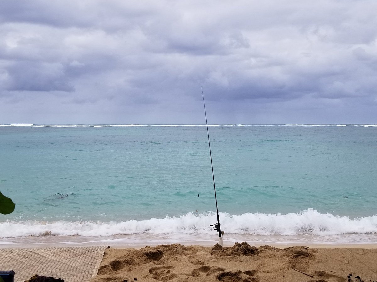 Steady Venture, Shoreline Fishing Hawaii