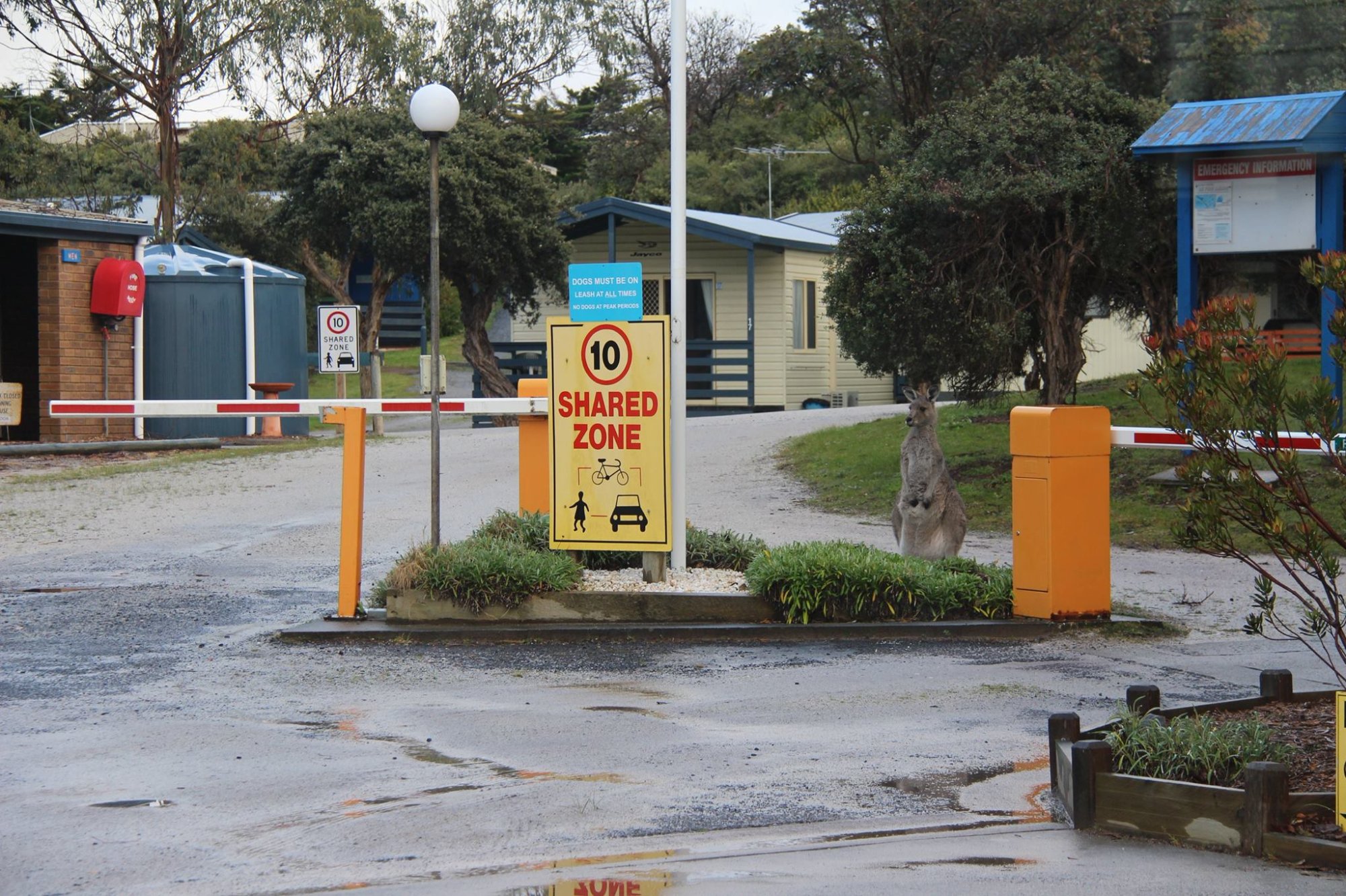 Venus bay caravan deals park