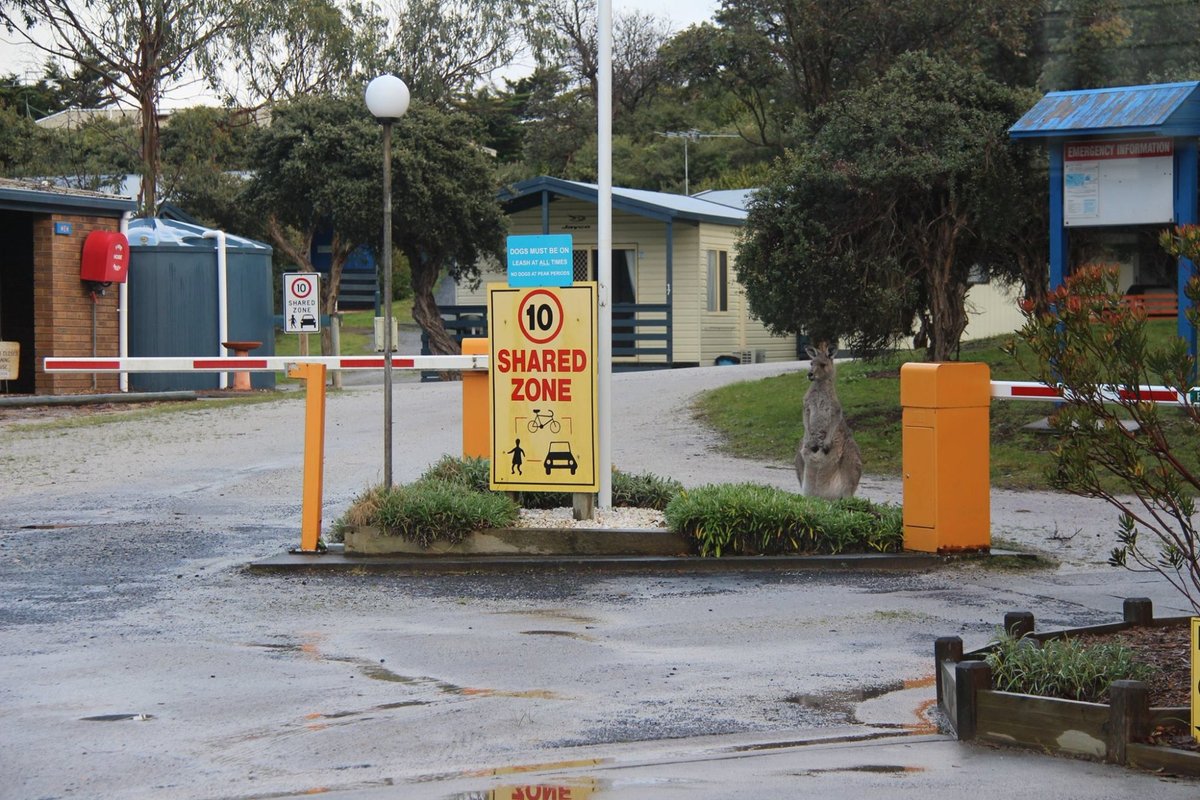 VENUS BAY CARAVAN PARK Campground Reviews & Photos Tripadvisor