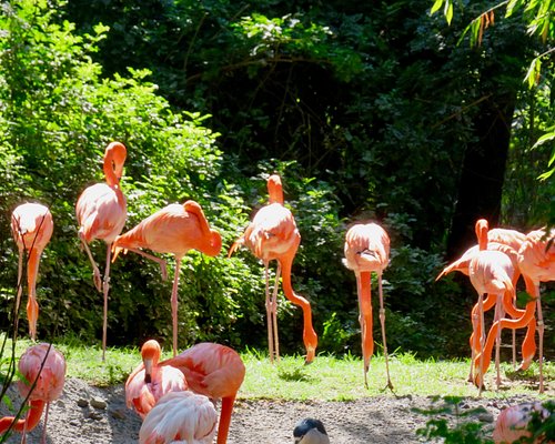 THE 5 BEST Zoos & Aquariums in Mexico City - Tripadvisor THE 5 BEST Zoos & Aquariums in Mexico City - Tripadvisor