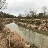 Cypress creek