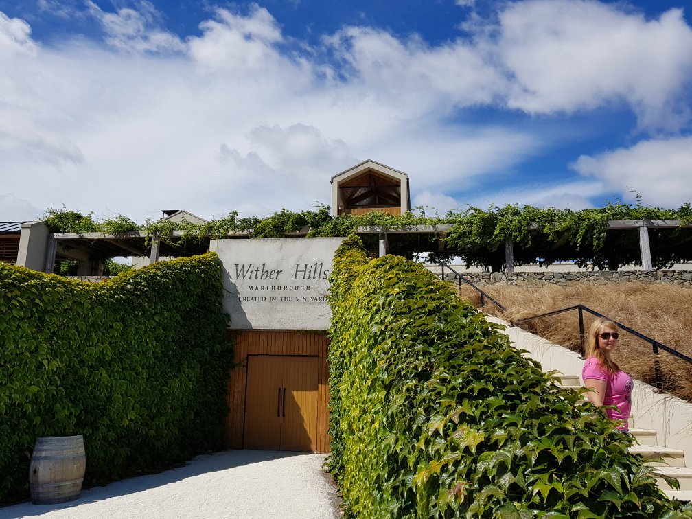 WITHER HILLS CELLAR DOOR All You Need to Know BEFORE You Go with