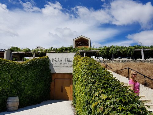 Marlborough cellar door, New Zealand Wine