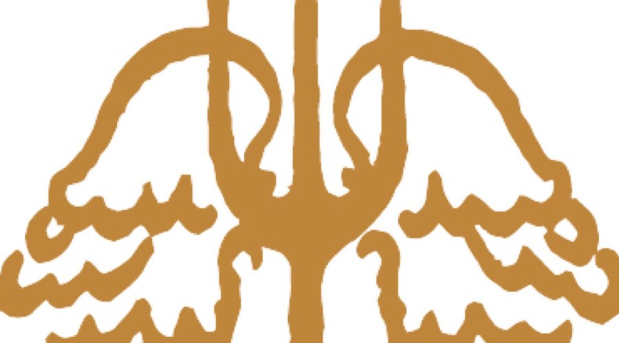 Logo principale
