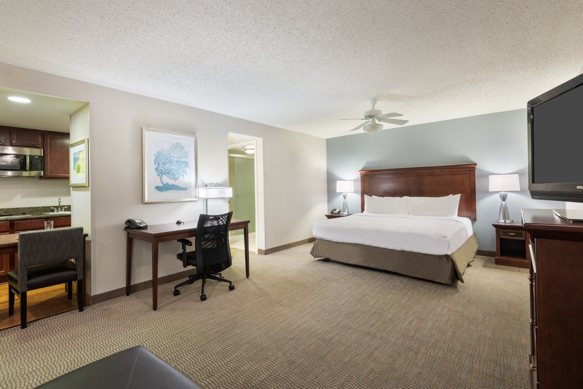 Hotel photo 37 of Homewood Suites by Hilton Tampa Airport - Westshore.