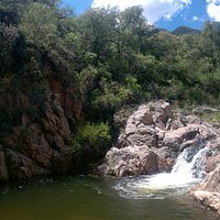 última olla a la que llegué, ni un sólo ser humano cerca