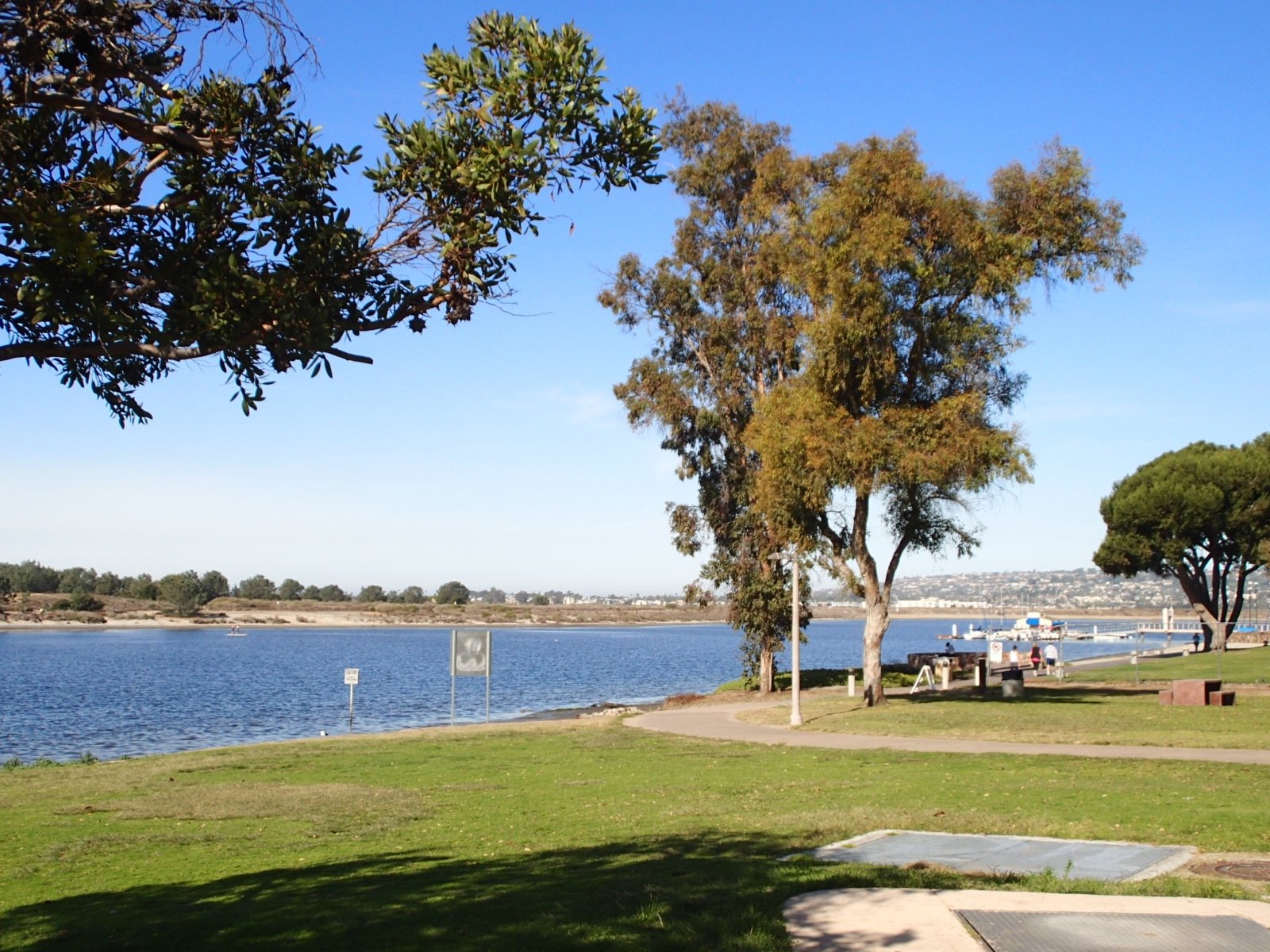 Are Dogs Allowed At Mission Bay Playground