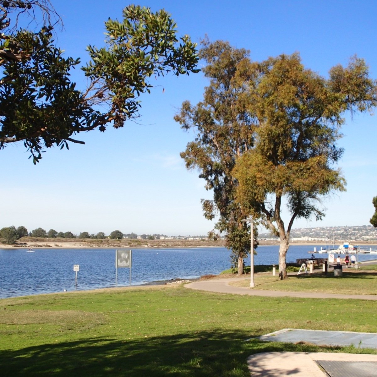 are dogs allowed at mission bay playground