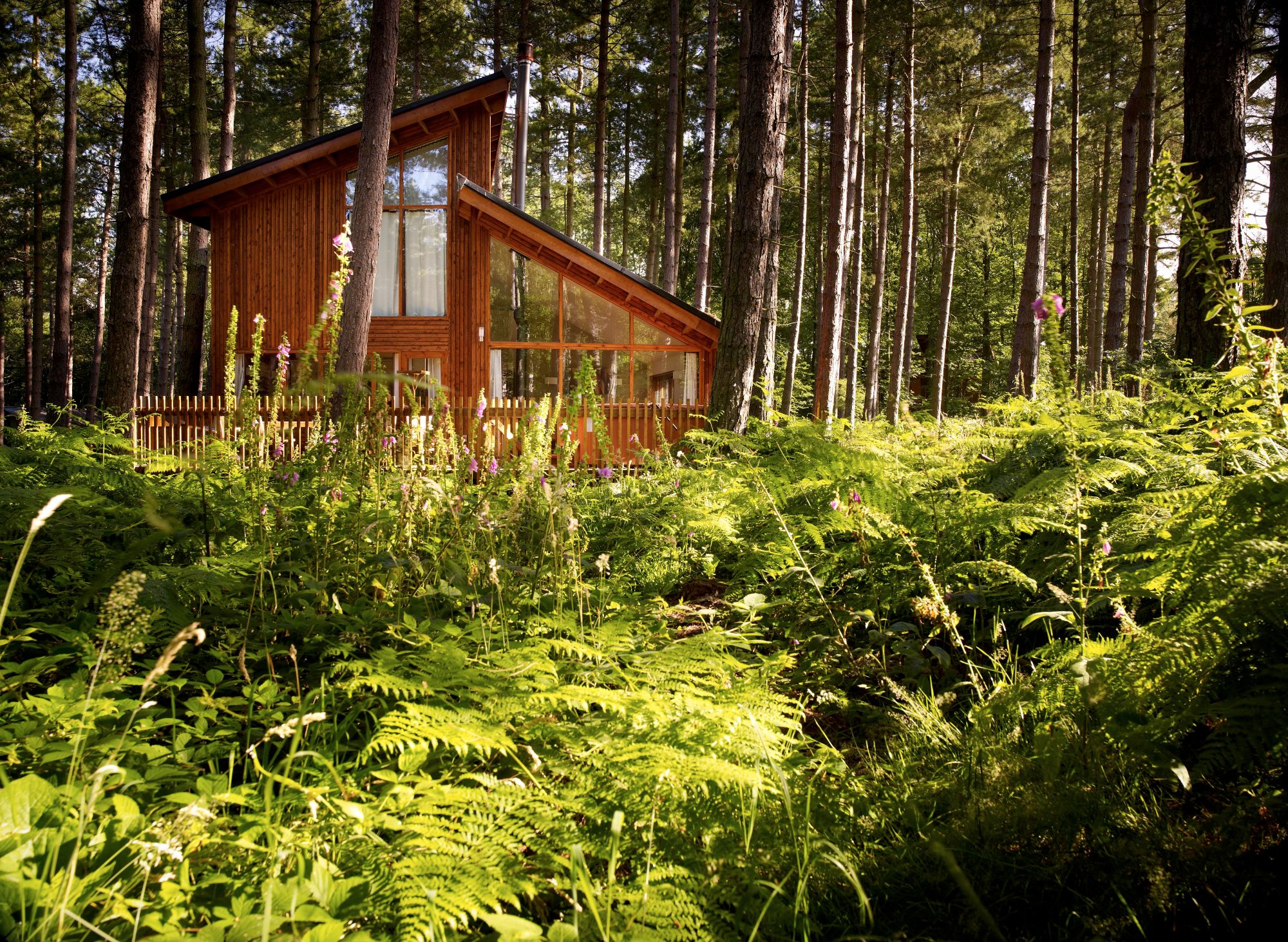 Sherwood forest log cabins best sale dog friendly