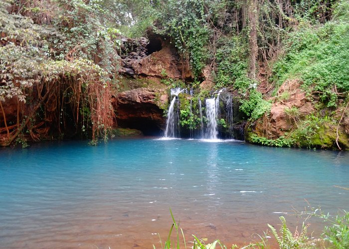 The blue pool. Source of Ngare Ndare river