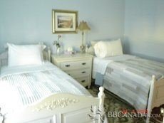 Cosy Twin room